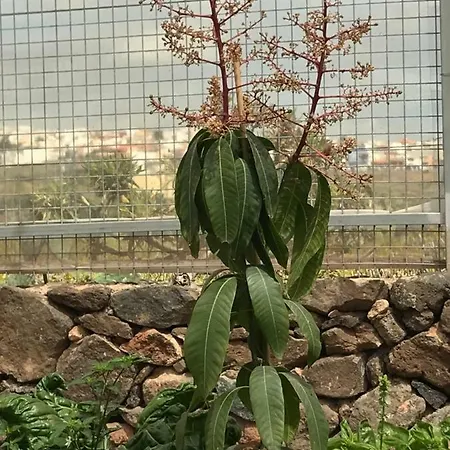 Casa De Alberconcillos