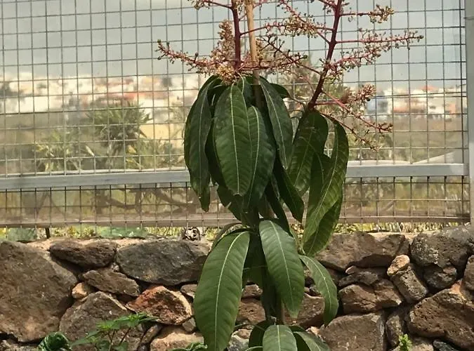 Casa De Alberconcillos